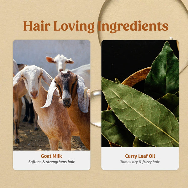 Shampoo & Hair Serum Combo