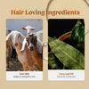 Shampoo & Hair Serum Combo
